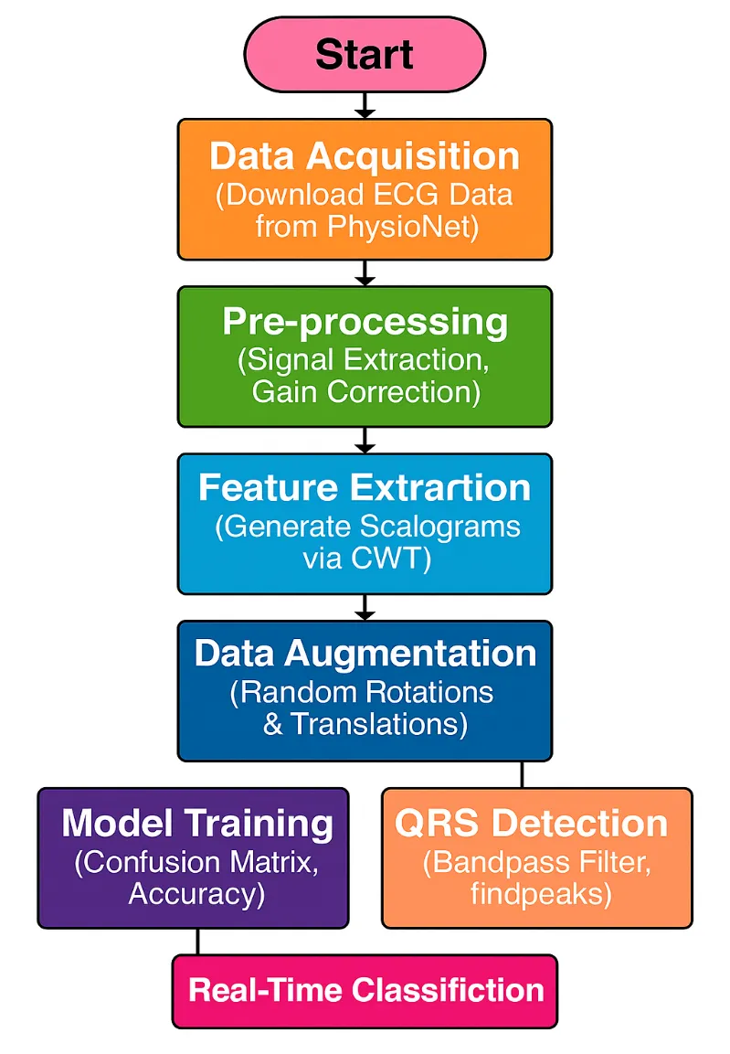 ECG ML workflow preview